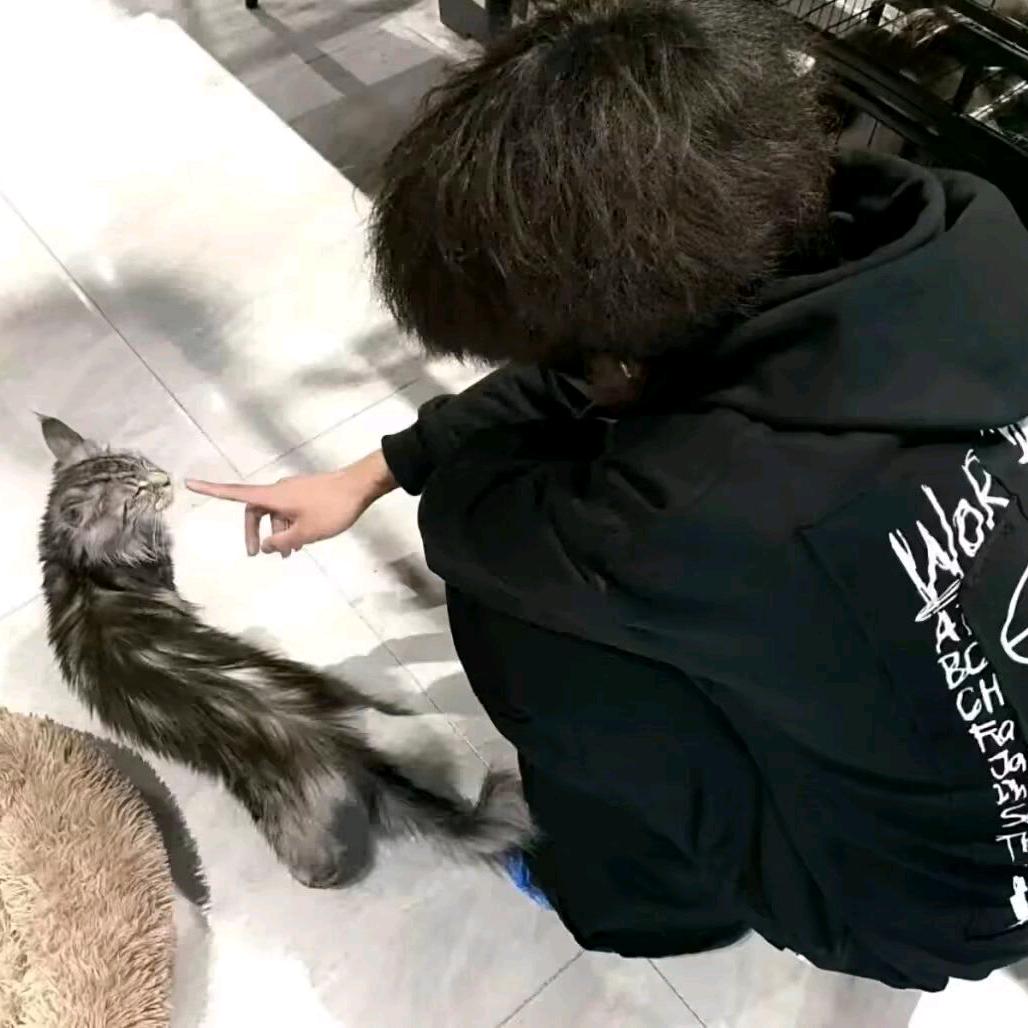 小林💬