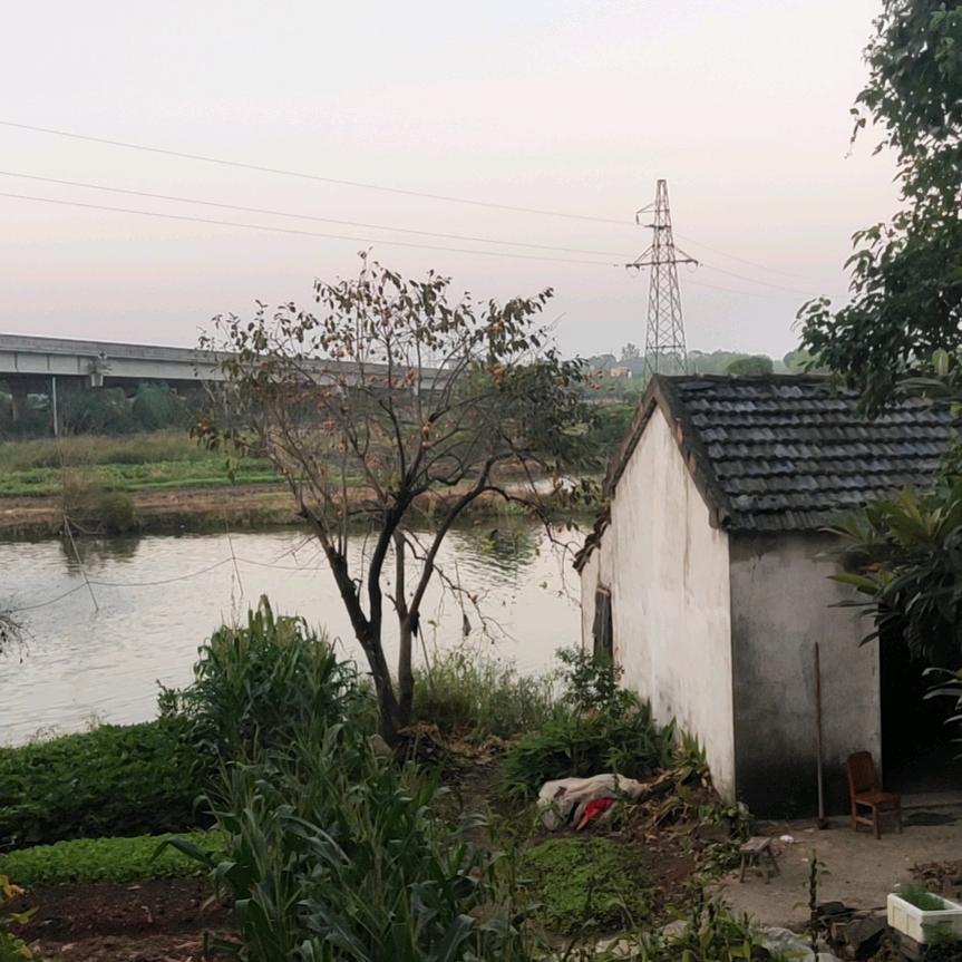 雨落星辰