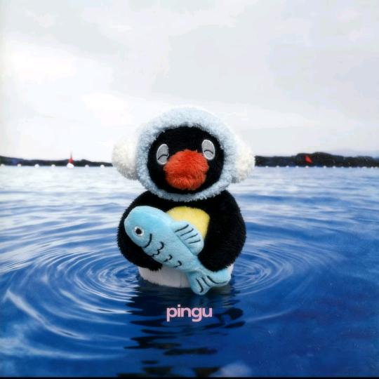 都是杀软有什么好争的