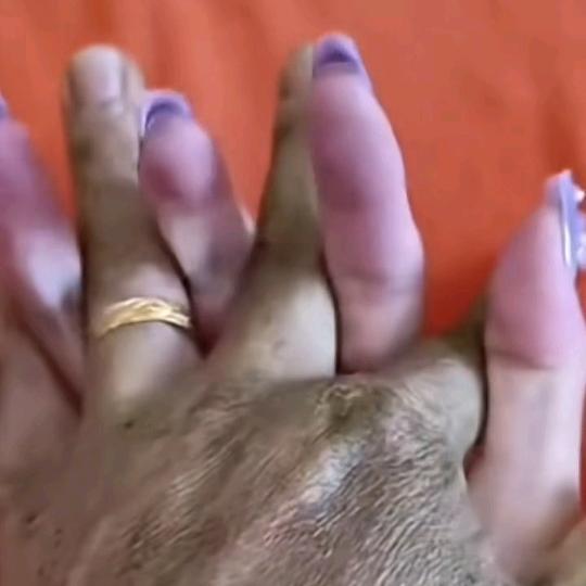 🔥🔥🔥🔥执迷不悟