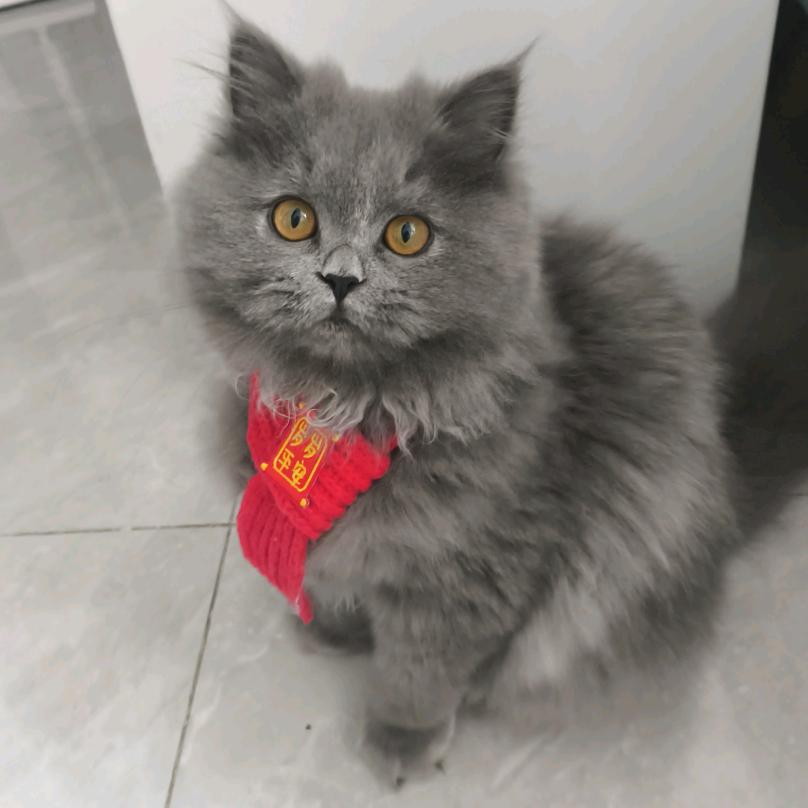 小可爱就是我💛