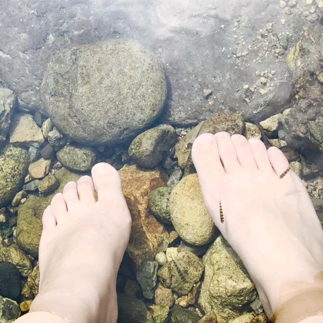 小毛驴