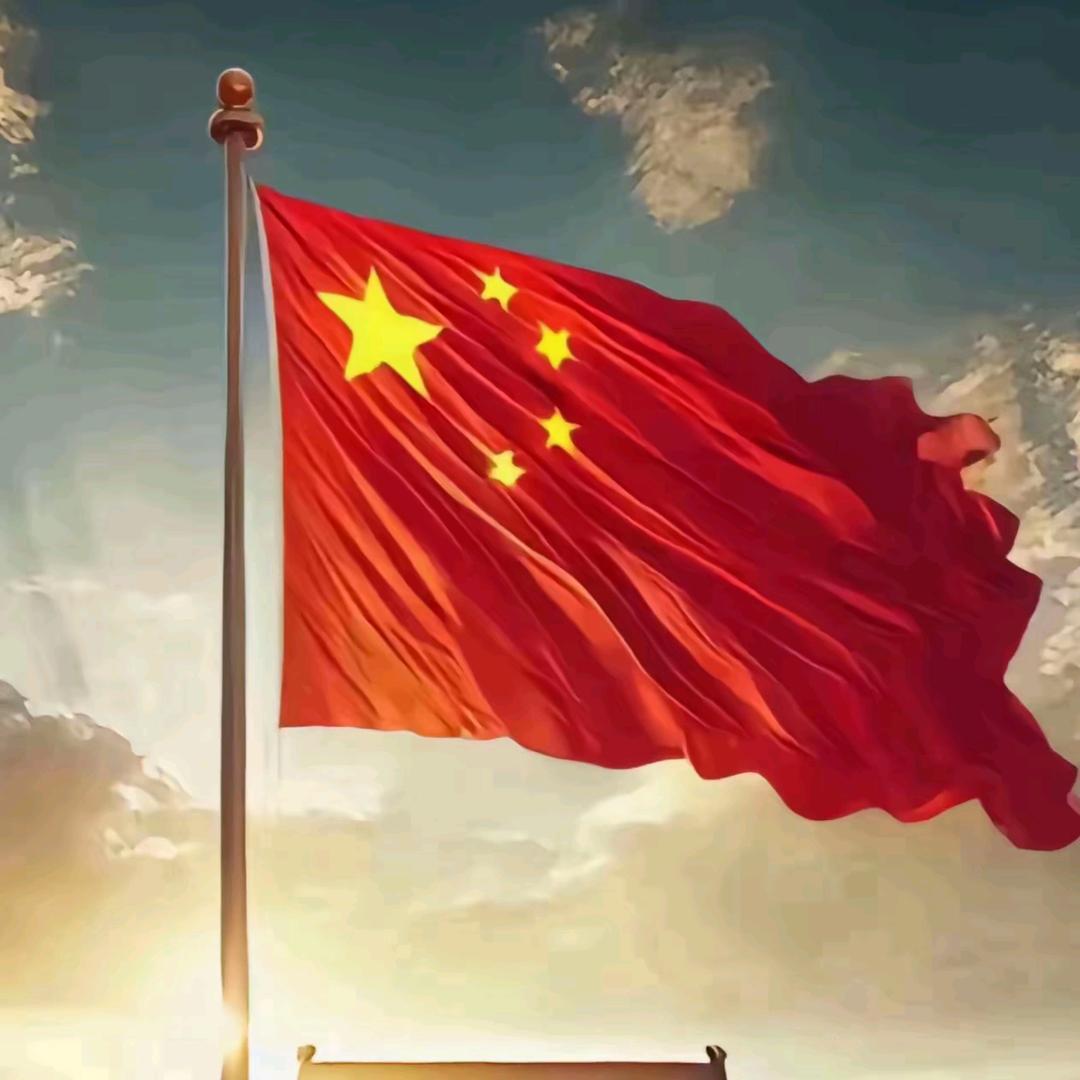 鱼仔仔、