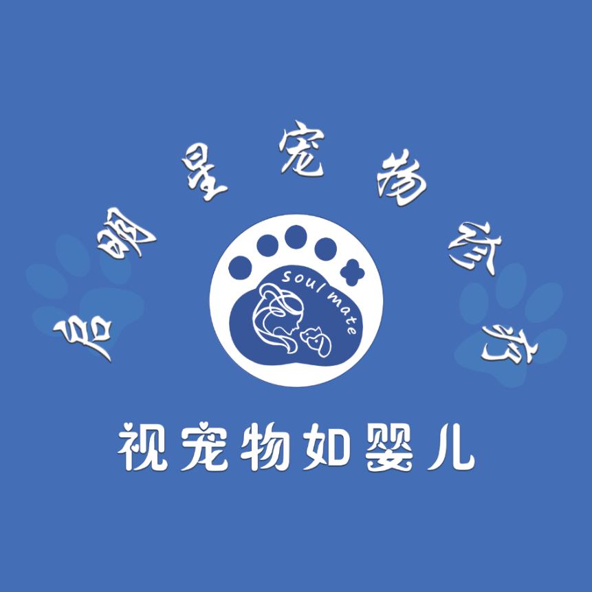 凉州区启明星宠物医院·萌宠优选