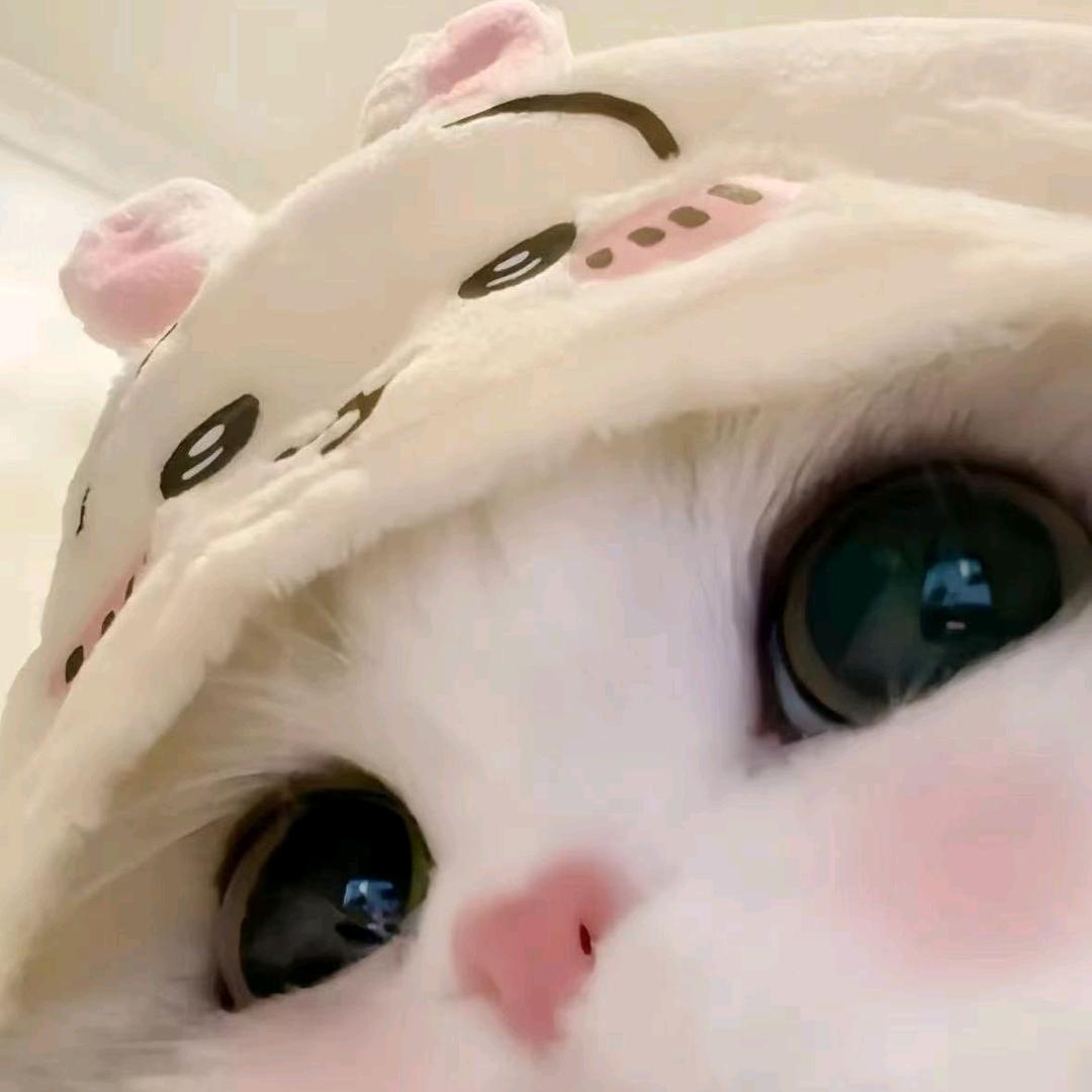 小八（2w国服公孙离）