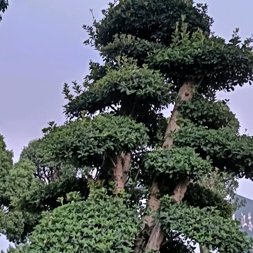 用户5753998913206