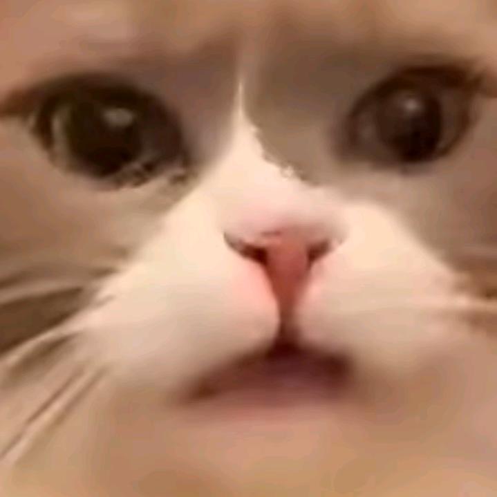 往萧