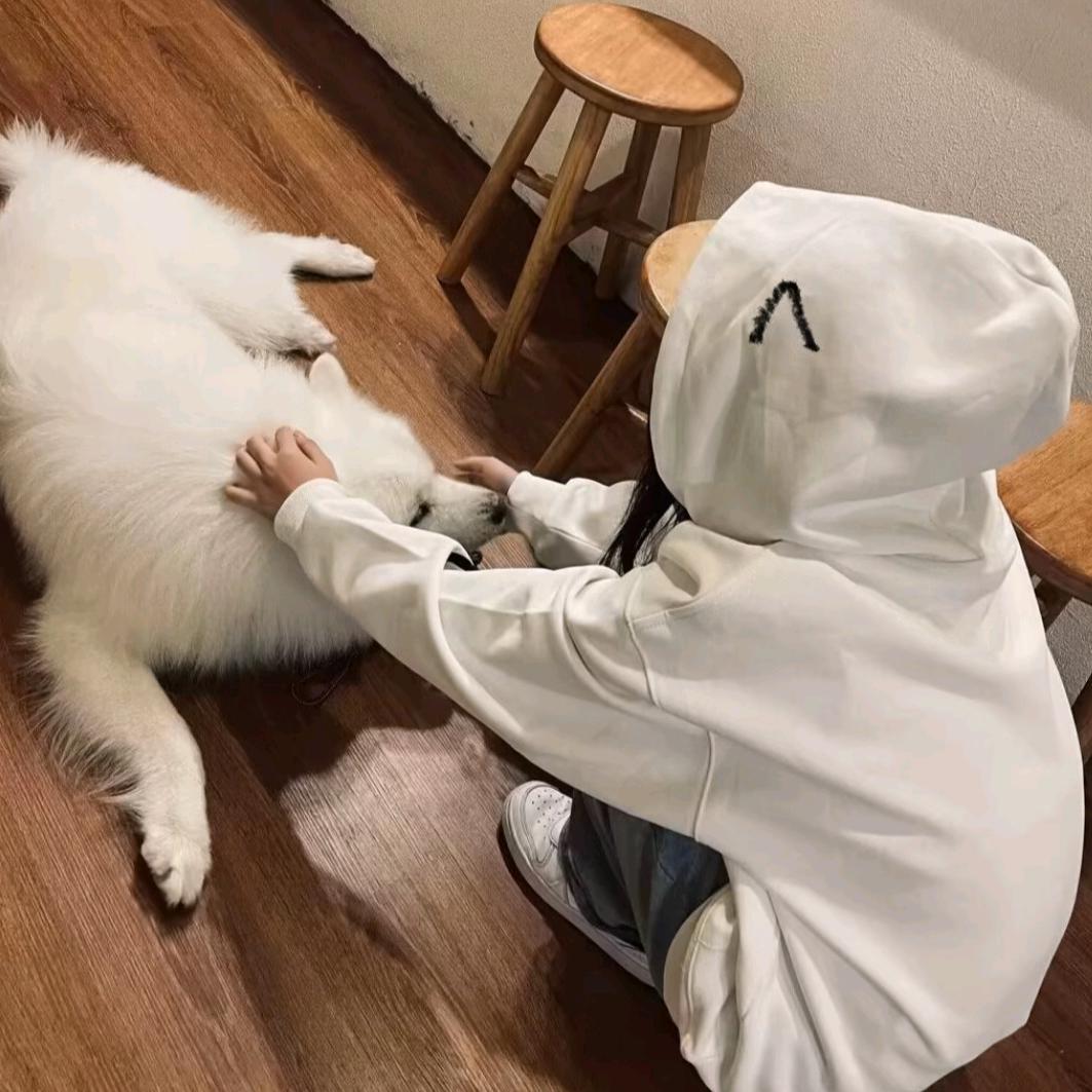 🐾