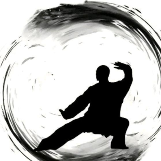 陈氏太极传承人贾老师