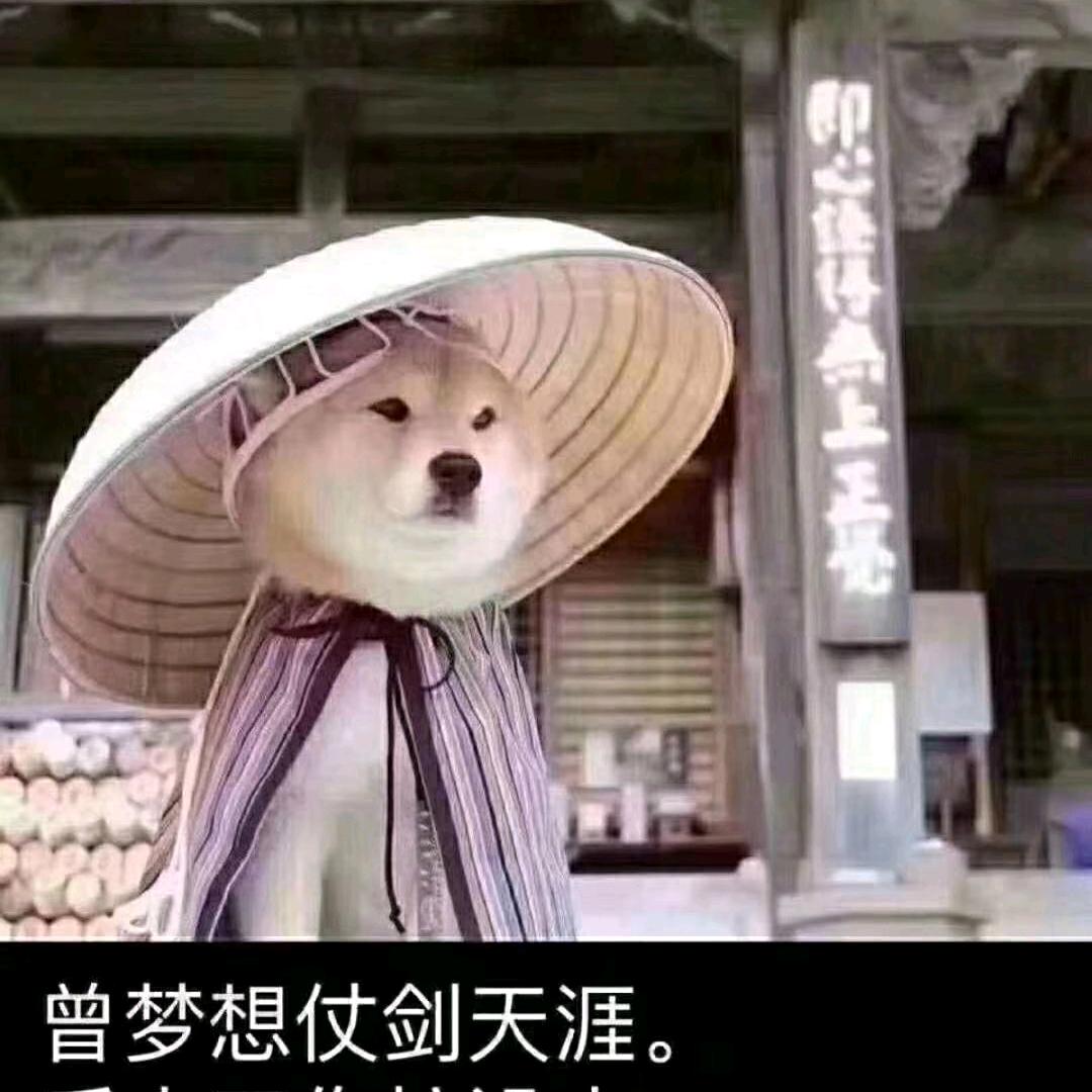 闲聊《心烦与困惑》