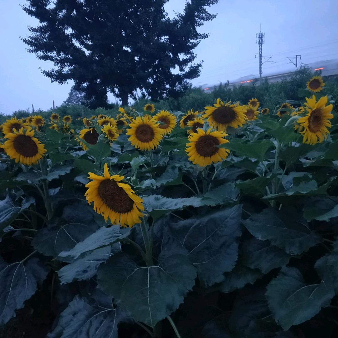 完美人生用户2471607512042