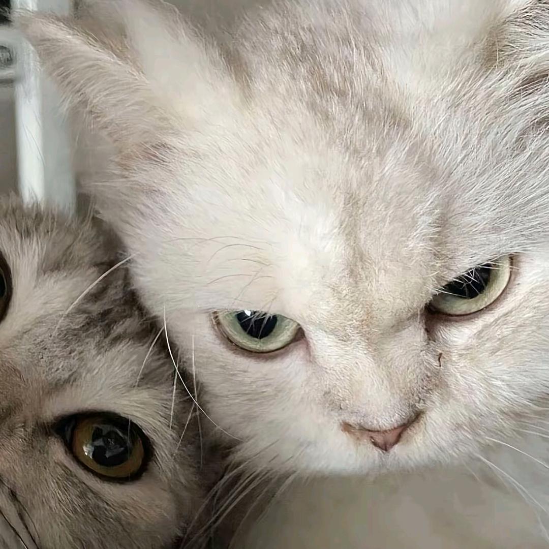 &