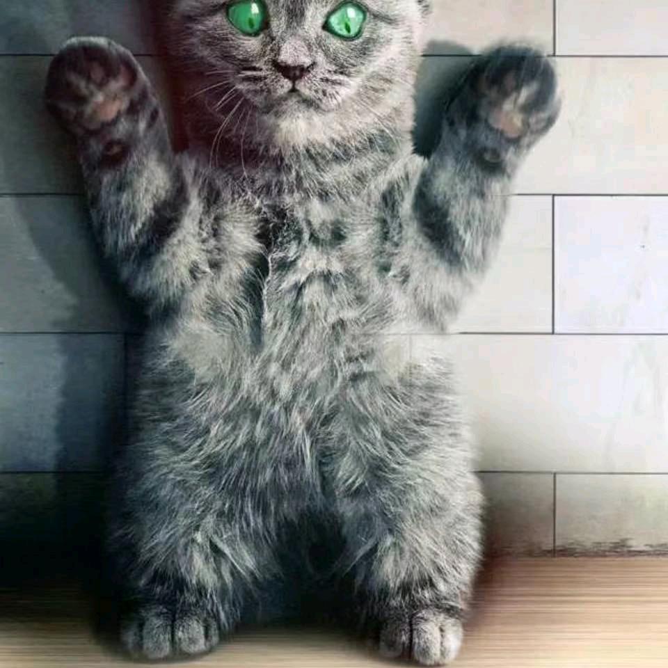 猛踹瘸子那条好腿