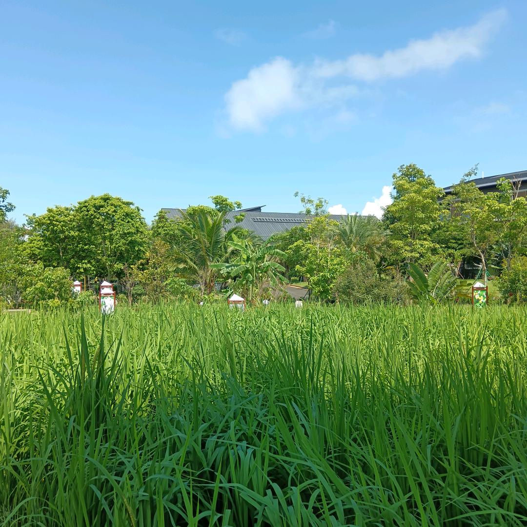 ꦿ໊秦空᭄🕊万里᭄ꦿᩚ🌹