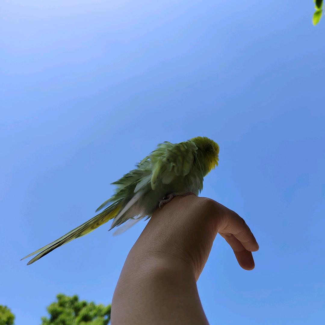 予博宝贝