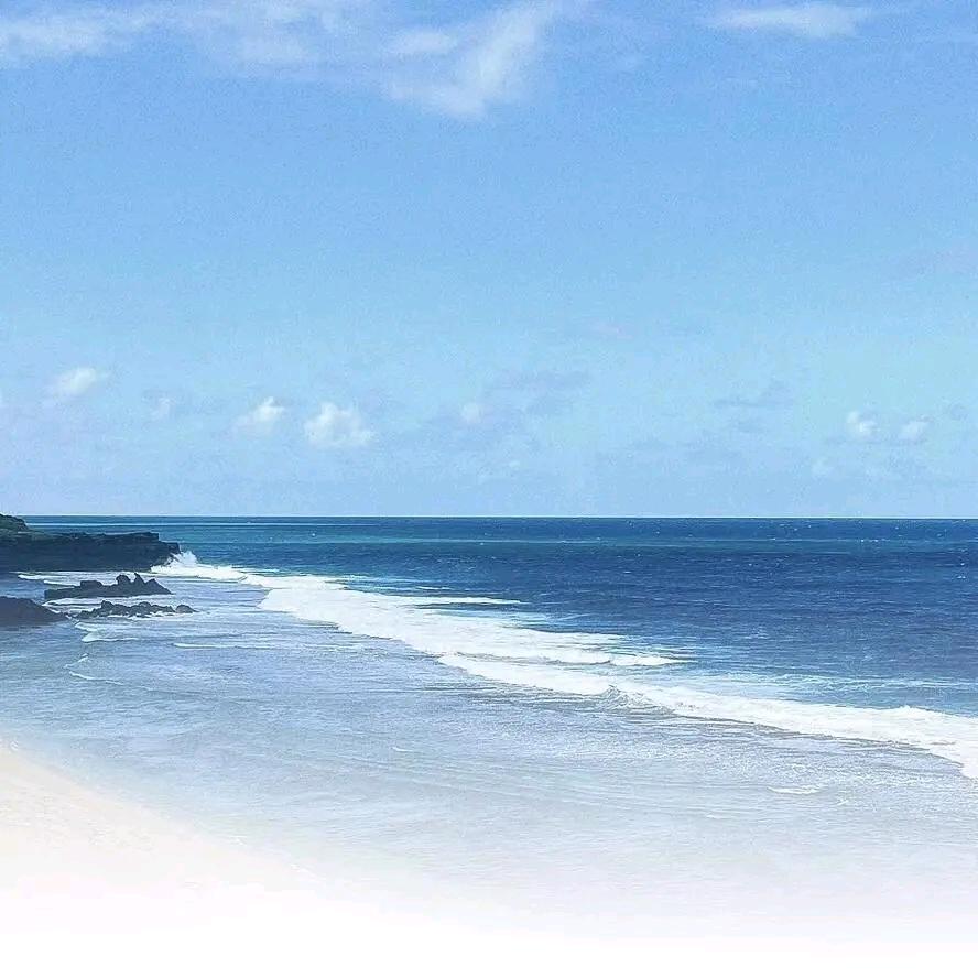 阿狗的小小铺阿狗的小小铺