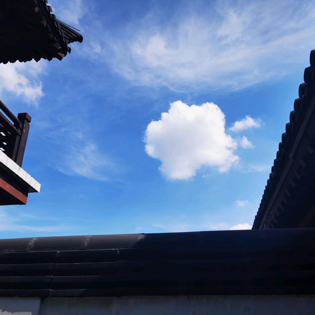 循环水泵