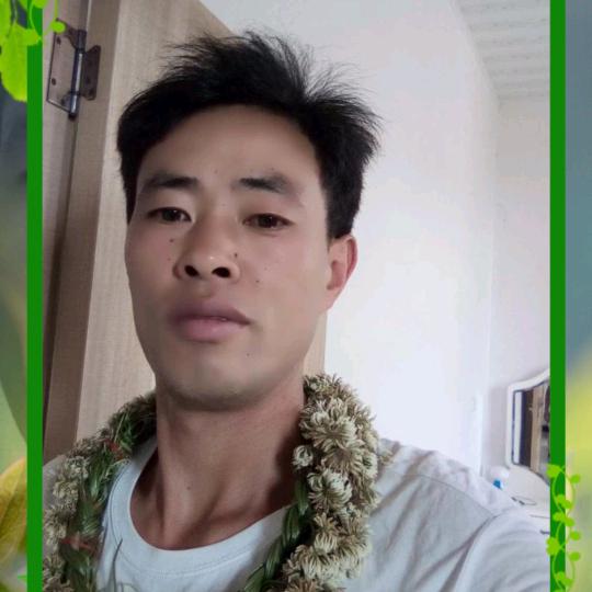 浪漫人生