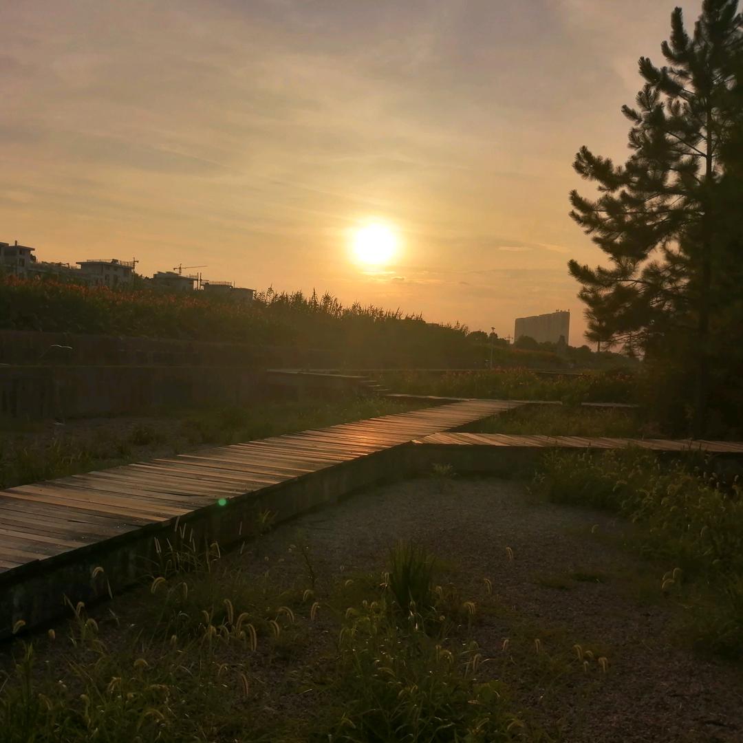 ᭄執ꦿ໌🌷唸꧔ꦿ᭄࿐ᩚ