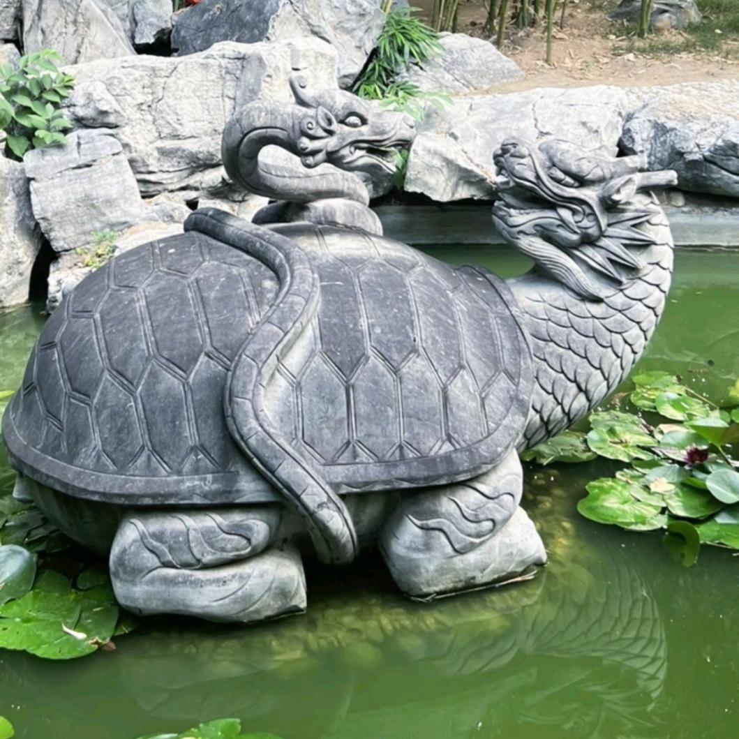 贵人(不定时)