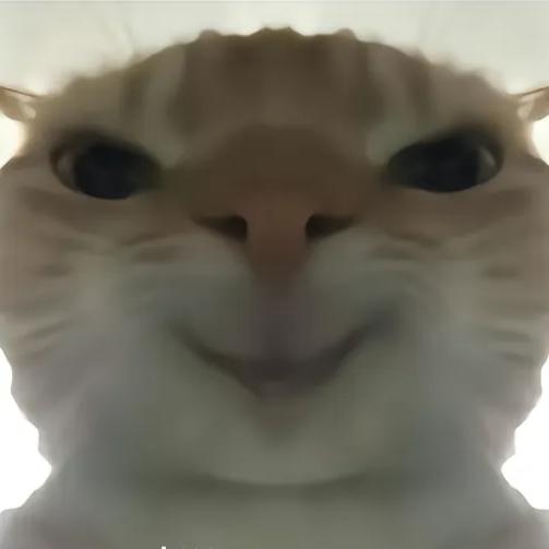 老程子想睡觉💪🌚