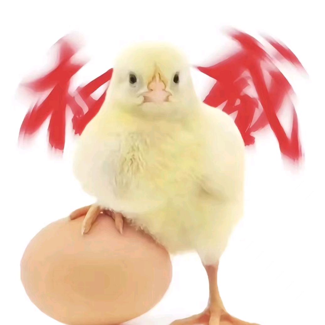 鸡酱（航海王壮志雄心）