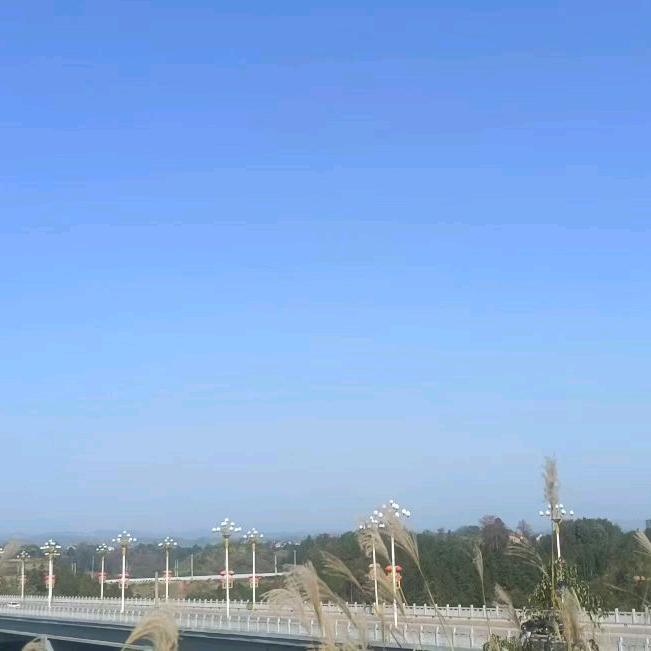 🌸醉笑清风🌸