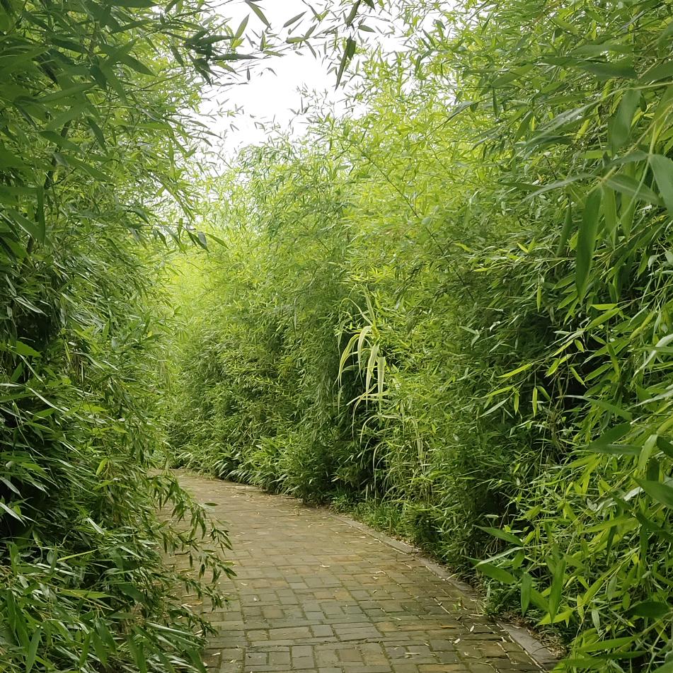 魔影