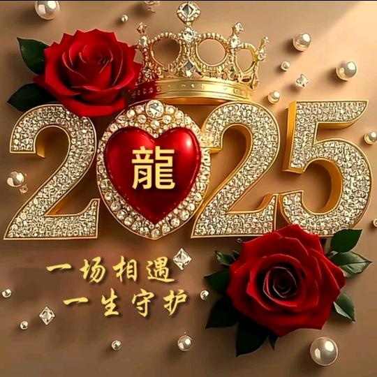 龙苏