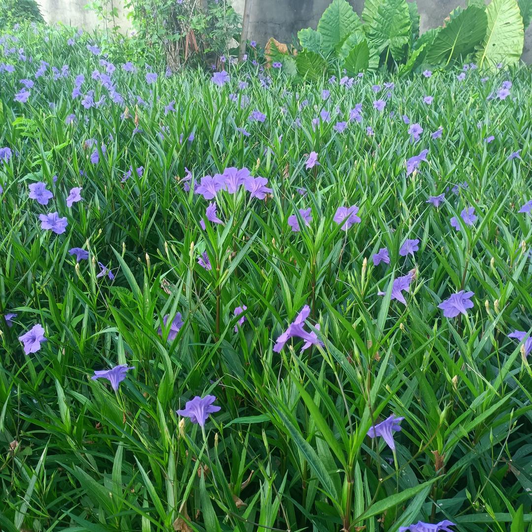 被甩下的伤心男人