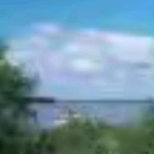 梦想
