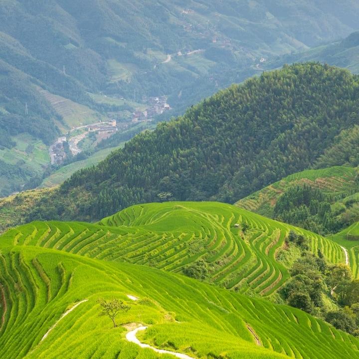 好像