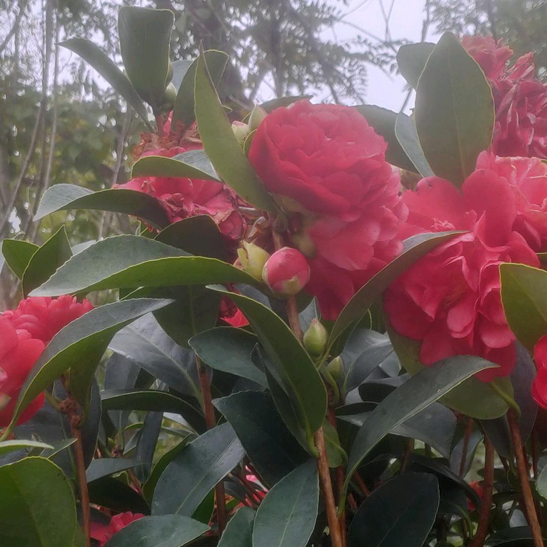 ♥悠♥闲♥云♥端❤️