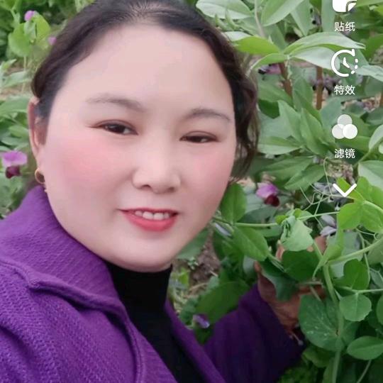 幸福女人时装