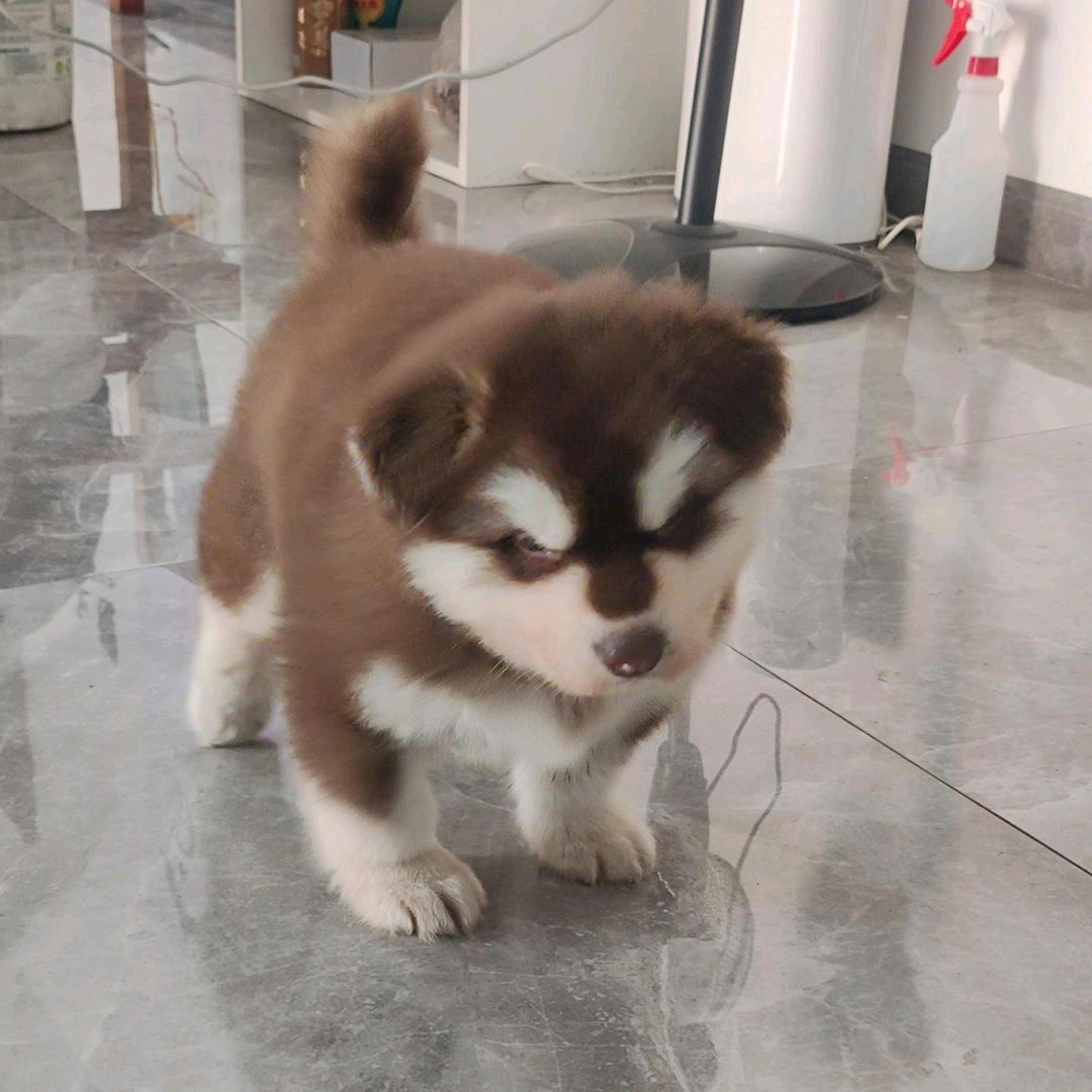 没烦恼