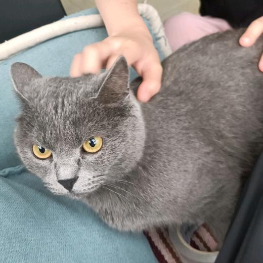 天使贝贝游泳馆