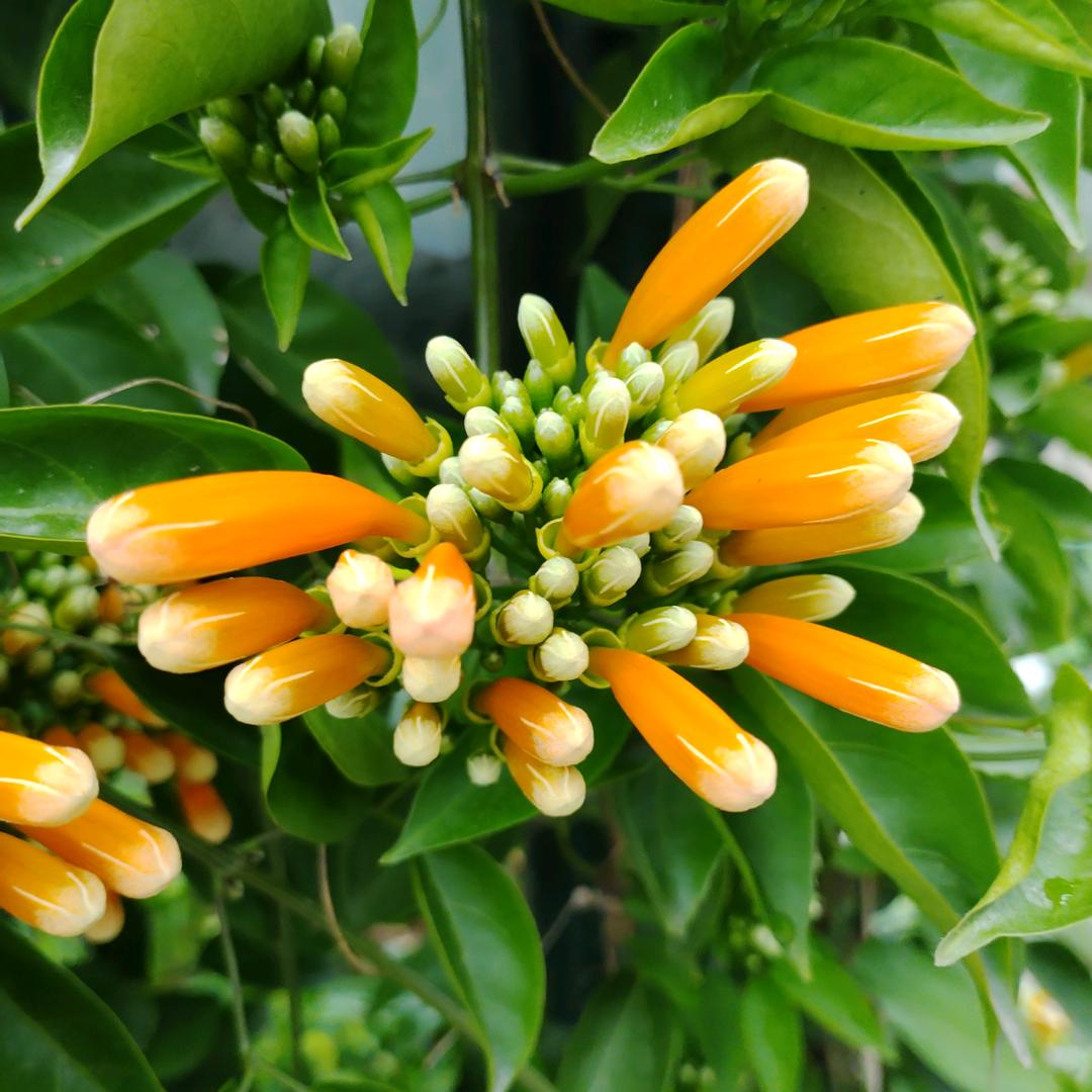 玩泥巴的☞小哥