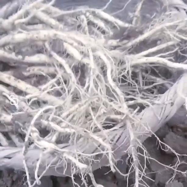 皓悦滋补养生甄选小铺