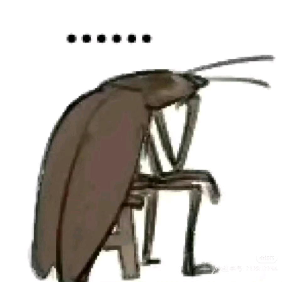 纯欲性感母蟑螂