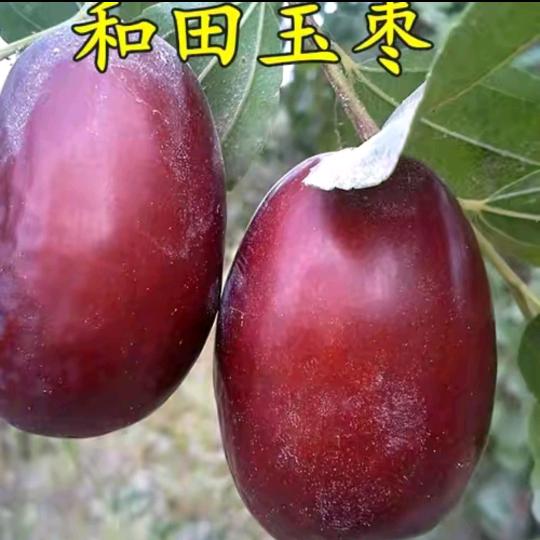 怡怡aimigaoxiaosipin直播