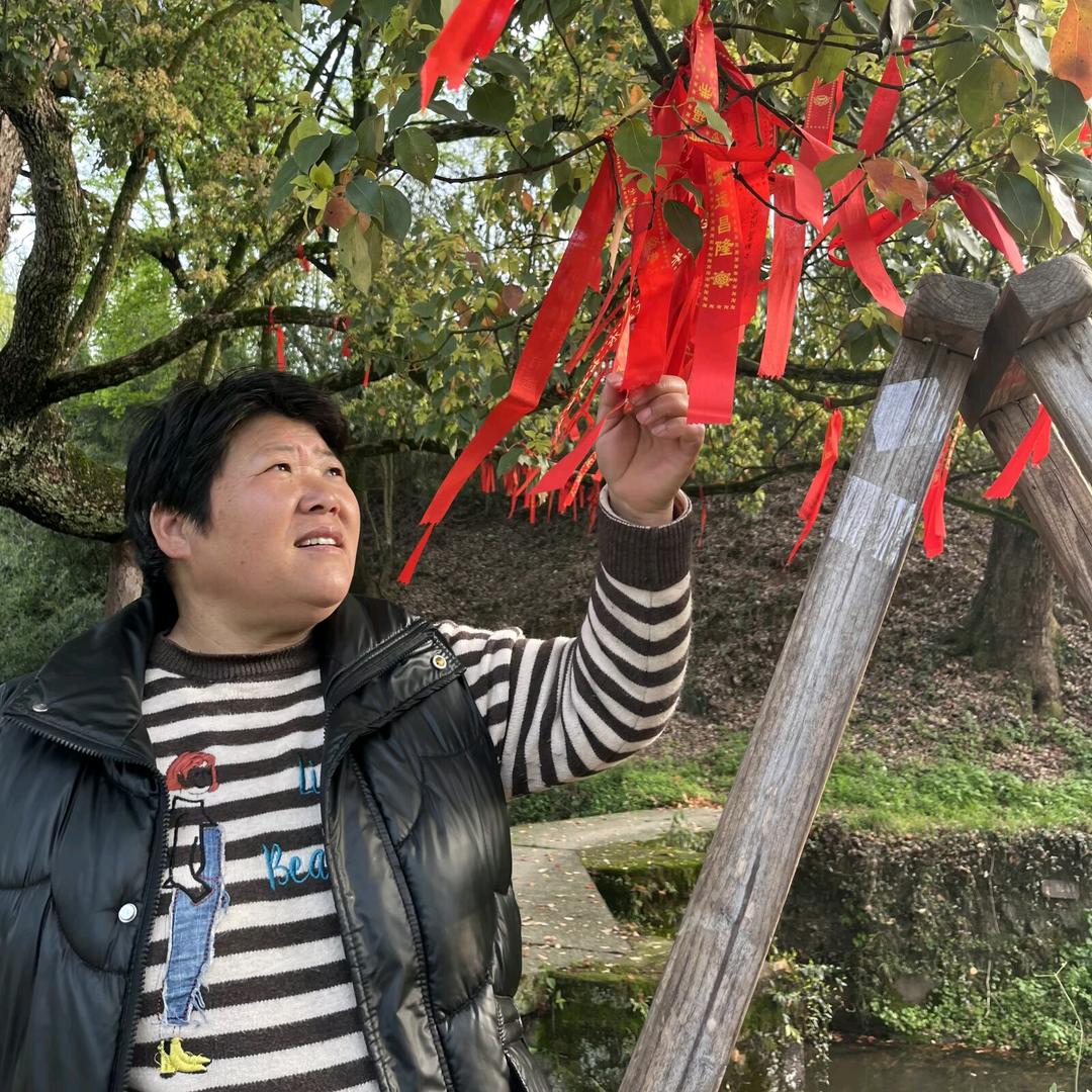 则侠