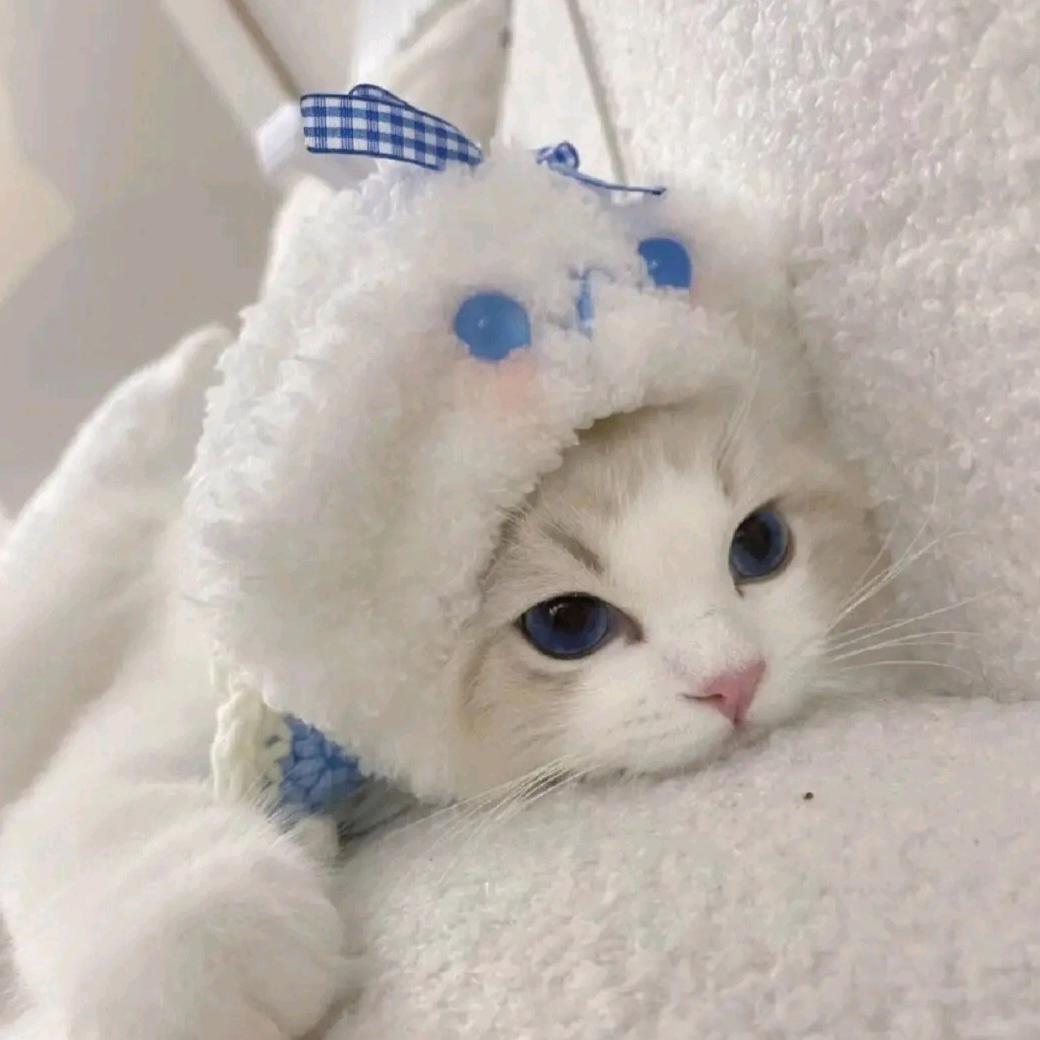 @孟仔