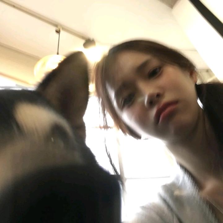 双双