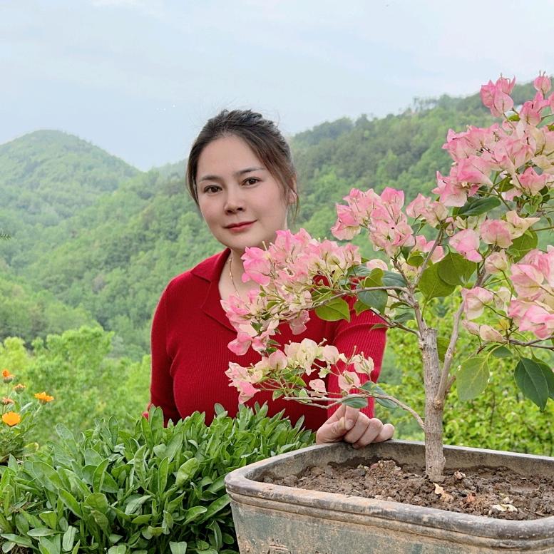 邱蜜蜜
