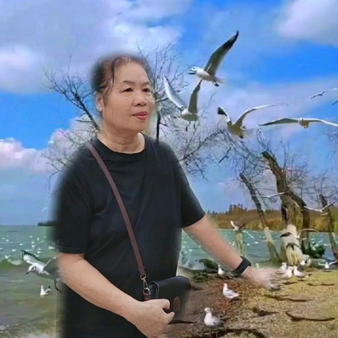 ↙226699