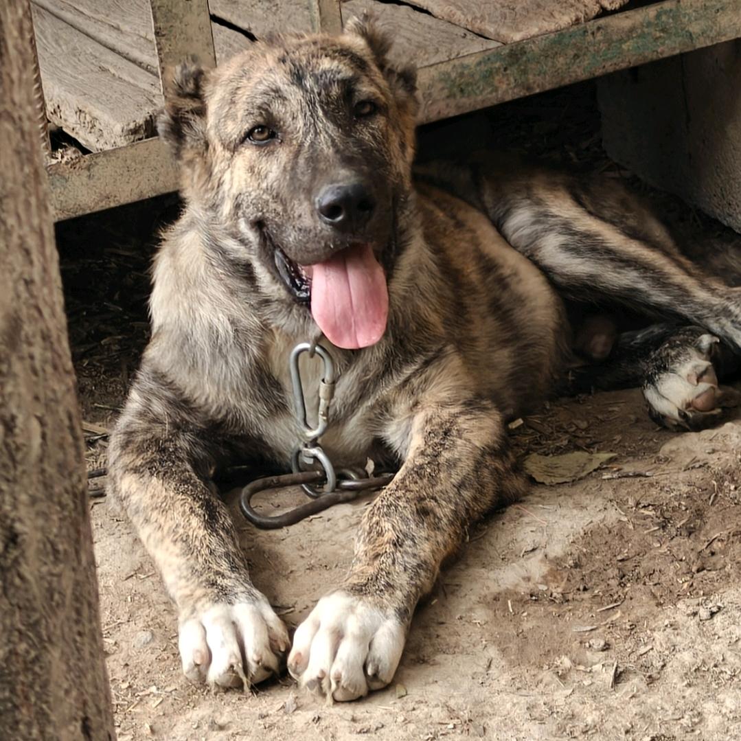 还没想好名字～(￣▽￣～)~