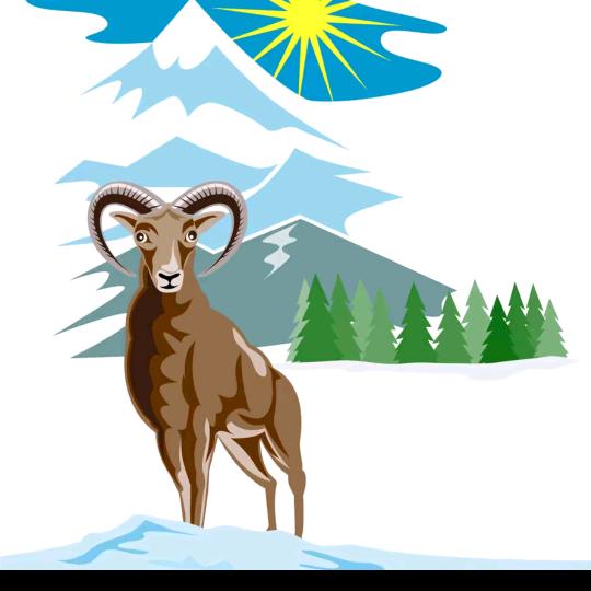 ✈️五爷🛩开心✈️快乐