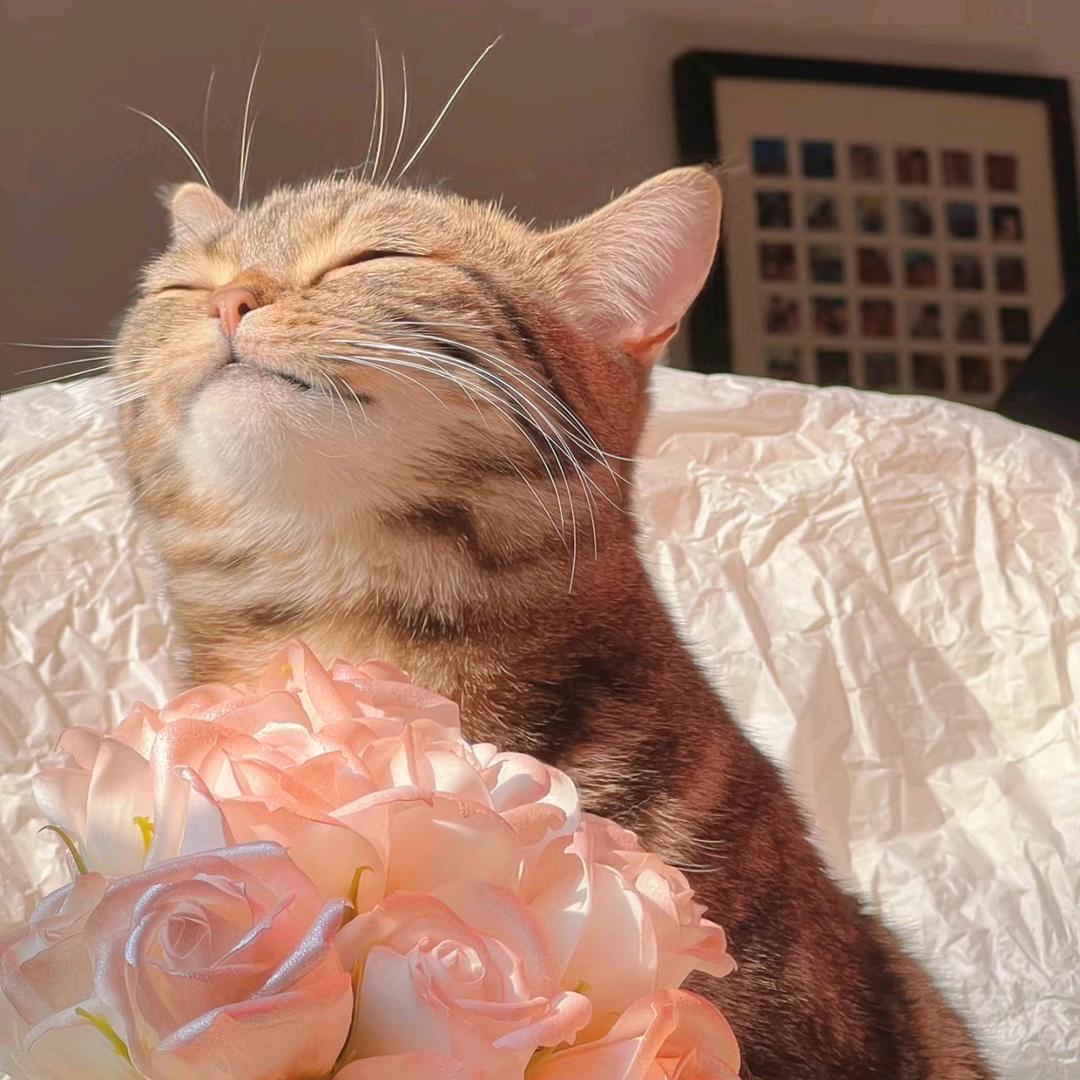 逃出伊甸的莉莉丝