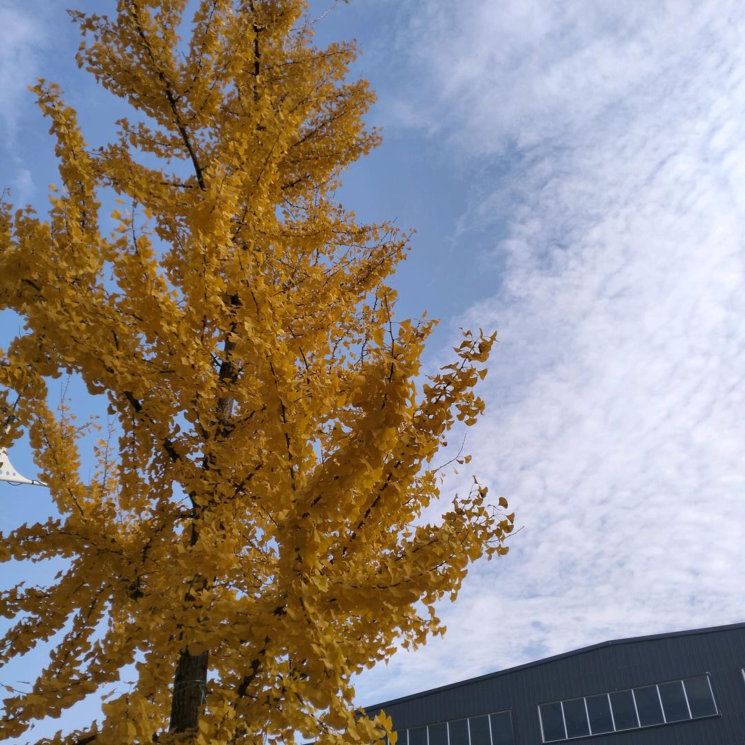 顺风顺水福气满满