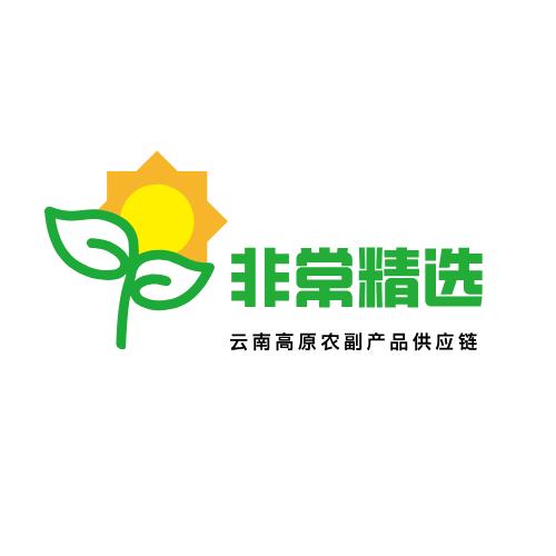 非常精选